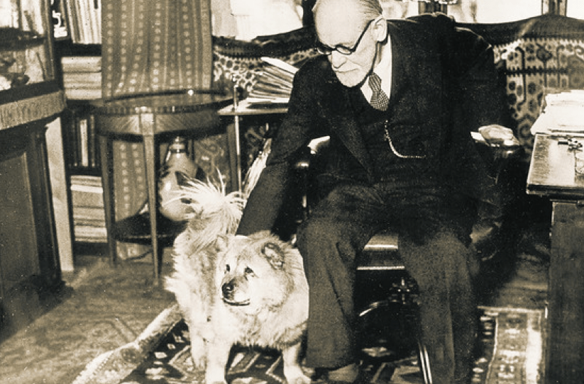 圖片來源:https://storystudio.tw/article/gushi/sigmund-freud-and-animal-assisted-therapy
